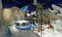 Дизайн–проект экспозиции Музея природы и человека (Ханты-Мансийский АО — Югра,Сургутский р-н, дер. Русскинская)
